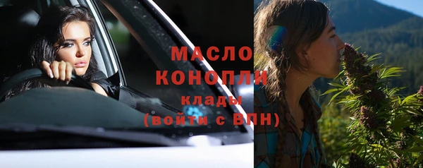 гидра Каменногорск