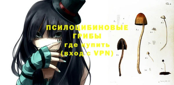 МДМА Богородск