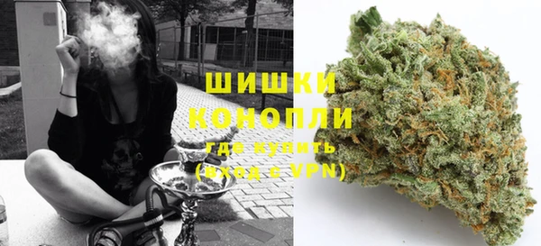 стаф Инсар