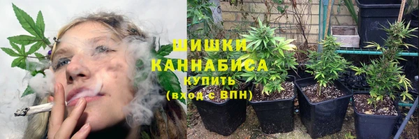 соль курить ск Богданович