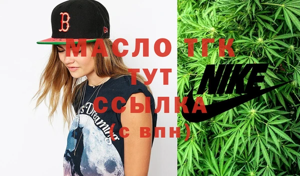 твердый Инта