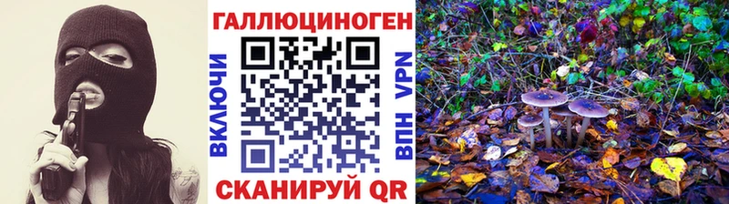 что такое blacksprut как войти Галлюциногенные грибы Psilocybine cubensis Костерёво